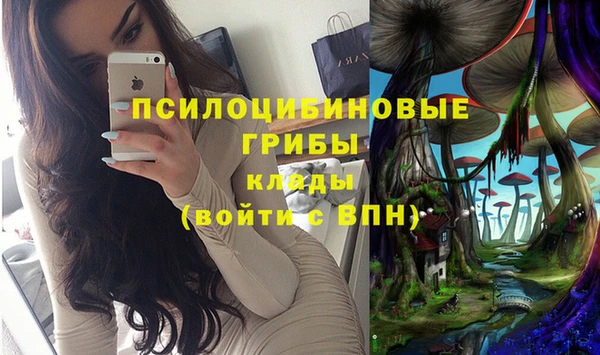МДПВ Навашино