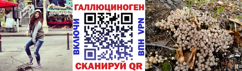 купить   МЕГА tor  Псилоцибиновые грибы GOLDEN TEACHER  Кашин 